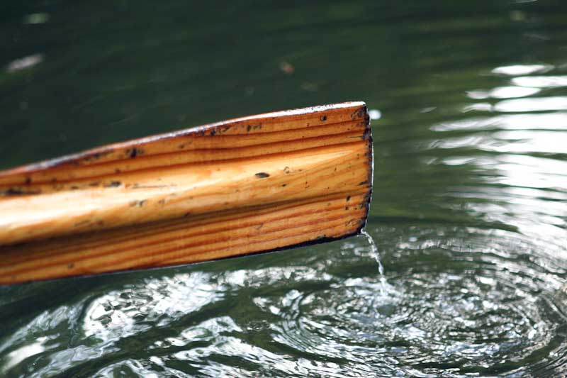 Rowing oar in the water